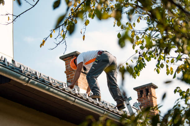 Best Flat Roof Repair Services  in La Paloma, TX