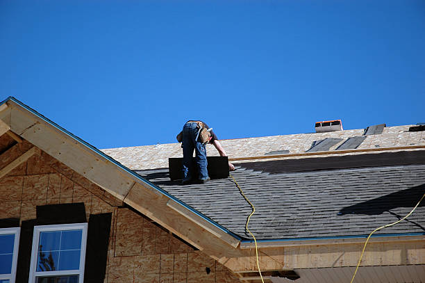 Best Metal Roofing Contractor  in La Paloma, TX