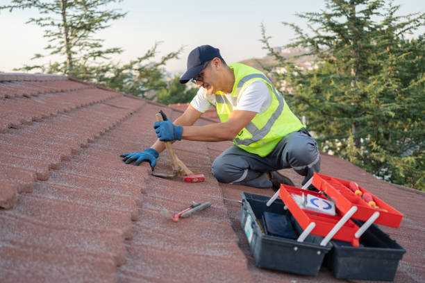 Best Roof Maintenance Services  in La Paloma, TX