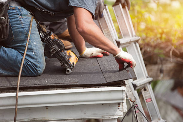 Best Roof Repair Services  in La Paloma, TX