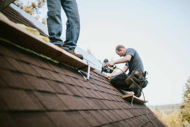 Roof Repair Estimates in La Paloma, TX