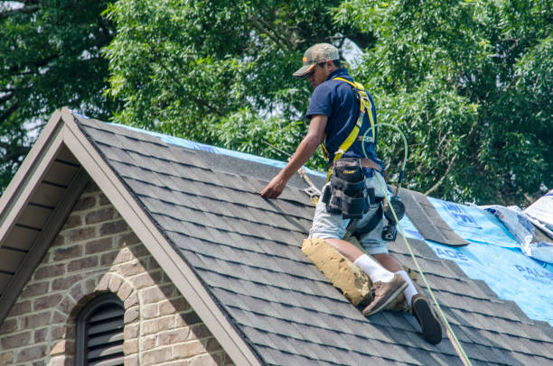 Tile Roofing Contractor in La Paloma, TX