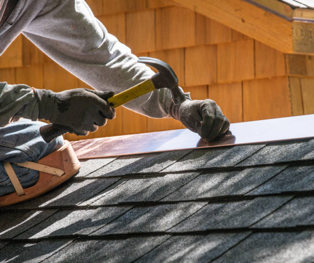 Best Gutter Installation and Roofing  in La Paloma, TX